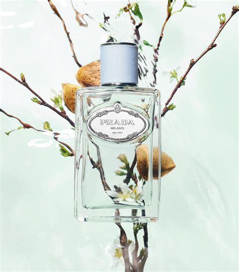 prada infusion fleur d& 39|Prada infusion d amande.